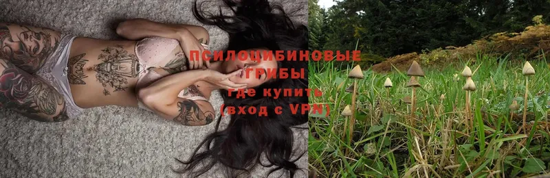 Галлюциногенные грибы Psilocybe  Белый 